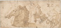Two Views of a Horse's Head; the Head of a Bearded Man in Profile, Anonymous, Italian, 16th century