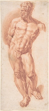 Standing Male Nude by Denijs Calvaert