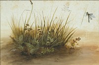 A Small Piece of Turf by Hans Hoffmann