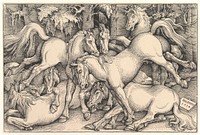 Group of Seven Horses by Hans Baldung (called Hans Baldung Grien)