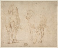Horses  attributed to Francesco Allegrini