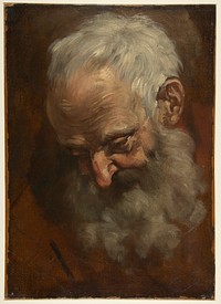 Head of a Bearded Man (Nicodemus) by Giacomo Cavedone