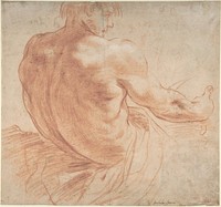 Seated Youth Facing Right, Seen from the Back by Annibale Carracci