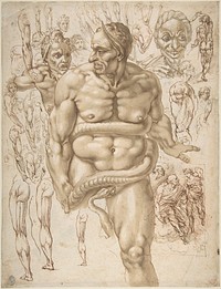 Nude Demon Encircled by a Serpent, after Michelangelo's Last Judgment; and Other Figure Studies (recto); Figure Studies (verso) by Giovanni Ambrogio Figino