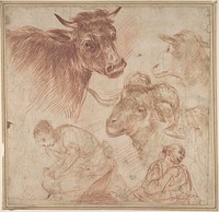 Studies of Animal Heads and Figures, Anonymous, Italian, Roman-Bolognese, 17th century