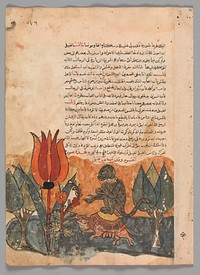 "The Tortoise Ferries the Monkey", Folio from a Kalila wa Dimna, second quarter 16th century