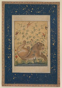 Lion at Rest, ca. 1585