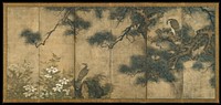 Hawks with Pine Trees and Camellias; Small Birds with Willows and Camellias attributed to Mitani Tōshuku