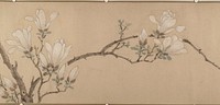 Magnolia by Unidentified artist