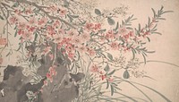 Garden Flowers after Chen Chun