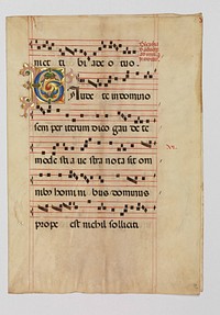 Bifolium with Foliated Initial C, from a Gradual, Italian