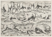 Speculum Romanae Magnificentiae: Wild Animals, from antique wall paintings, plate 1, Antonio Lafréry by Anonymous