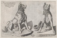 Speculum Romanae Magnificentiae: Two Dogs by Sebastiano di Re