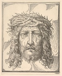 The Head of Christ Crowned with Thorns 