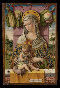 Madonna and Child by Carlo Crivelli (Italian, Venice (?), active by 1457–died 1494/95 Ascoli Piceno)