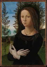 Portrait of a Young Woman 