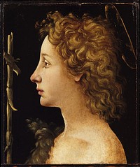 The Young Saint John the Baptist 