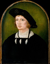 Portrait of a Man, Netherlandish Painter