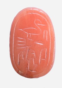 Scarab Inscribed With a Private Name (?)