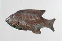 Cosmetic Dish in the Shape of a Bolti Fish