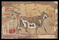 Bull in a Papyrus Swamp, Palace of Amenhotep III by William J. Palmer-Jones