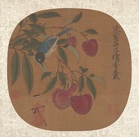 Bunch of Purple Lychees by Unidentified artist