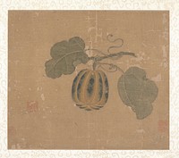 Squash by Unidentified artist