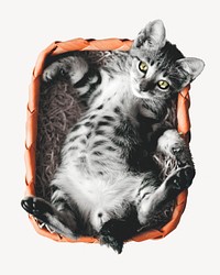 Cute cat  collage element psd