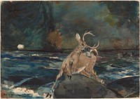 A Good Shot, Adirondacks (1892) by Winslow Homer.  
