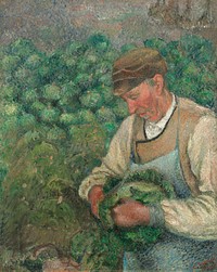 The Gardener - Old Peasant with Cabbage (1883-1895) by Camille Pissarro.  