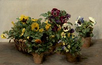 Pansies (1874) by Henri Fantin-Latour.