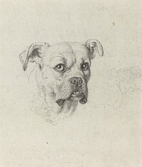 A Boxer (c. 1795) by Johann Heinrich Wilhelm Tischbein.  