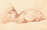 A Dromedary (1750s) by Johann Elias Ridinger.  