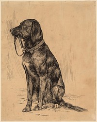 Aldrich's Dog, late 1880s by John Davis Hatch Collection.