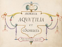 Title Page: Animalia Aqvatilia et Cochiliata (c. 1575-1580) painting in high resolution by Joris Hoefnagel.  