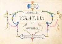 Title Page:Animalia Volatilia et Amphibia (c. 1575-1580) painting in high resolution by Joris Hoefnagel.  