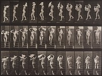 Animal Locomotion Plate 133 (1887) photograph in high resolution by Eadweard Muybridge.  