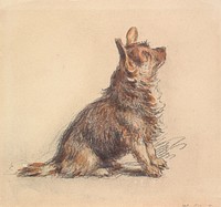  A Terrier Sitting, Looking Up to Righ painting in high resolution by William Henry Hunt (1790–1864).  