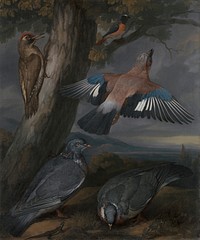 Jay, Green Woodpecker, Pigeons, and RedstartLandscape with a Green Woodpecker, a Jay, Two Pigeons, a Redstart, a Lizard and Two Frogs, signed, c.1650 (ca. 1658) painting in high resolution by Francis Barlow.  