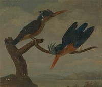 Two Kingfishers beside a Lake, painting in high resolution by James Sowerby (1756–1822).  