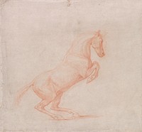 A Prancing Horse, Facing Right (ca. 1790) drawing in high resolution by George Stubbs.  