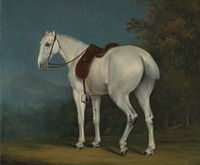 A Lady's Grey Hunter (ca. 1806) painting in high resolution by Jacques–Laurent Agasse.  