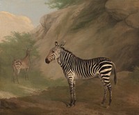 Zebra (1803) painting in high resolution by Jacques–Laurent Agasse.  