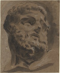 Bearded Head drawing in high resolution by Giovanni Battista Cipriani (1727–1785).  