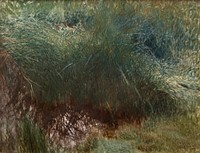 Clump of Reeds (1907) painting in high resolution by Bruno Liljefors. Original from The Thiel Gallery. 