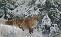 Fox in Winter (1904) painting in high resolution by Bruno Liljefors. Original from The Thiel Gallery. 