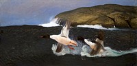 Mergansers (1901) painting in high resolution by Bruno Liljefors. Original from The Thiel Gallery. 