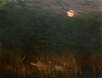 Nocturnal Mood with Wild Ducks (1901) painting in high resolution by Bruno Liljefors . Original from The Thiel Gallery. 