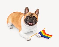 Pride month dog collage element psd