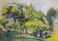 Chestnut Trees above a River (ca.1900) by Auguste Lepère.  